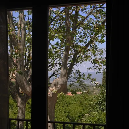 Hostal Braseria Tivissa Tivissa