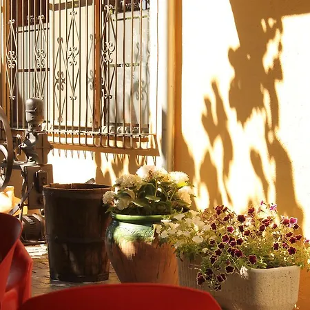 Hostal Tivissa Guest house Tivissa