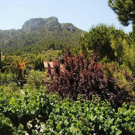 Guest house Hostal Tivissa 2*